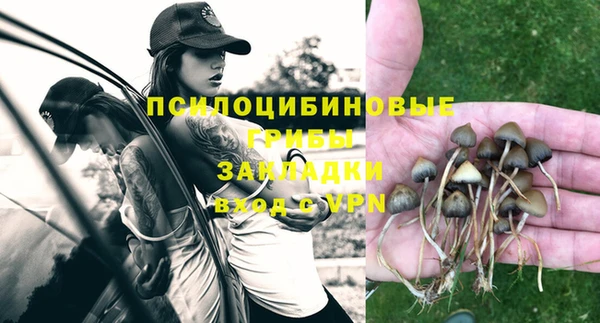MESCALINE Горно-Алтайск