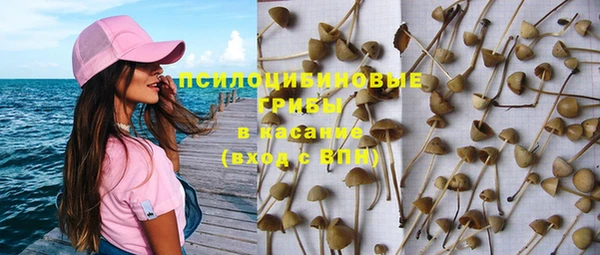 spice Пестово