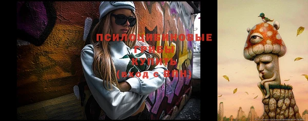 ALPHA-PVP Горнозаводск