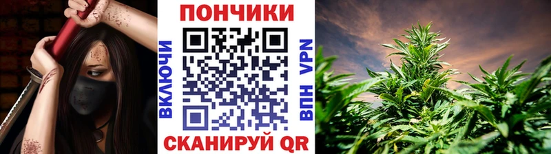 Каннабис MAZAR  Купить  Карачаевск 